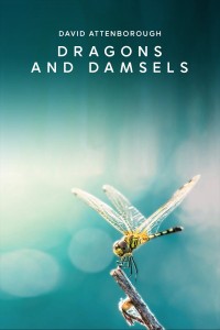 Loài Chuồn Chuồn